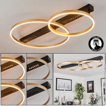 Plafonnier Cajean LED Noir, 1 lumière