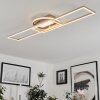 Plafonnier Lillavois LED Nickel mat, 1 lumière, Télécommandes