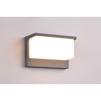 Applique murale d'extérieur Trio Nestos LED Anthracite, 1 lumière