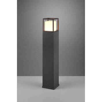 Borne lumineuse Trio Witham LED Anthracite, 1 lumière