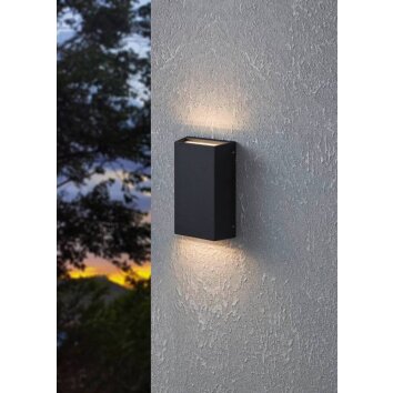 Applique murale d'extérieur Eglo SPONGANO LED Noir, 2 lumières