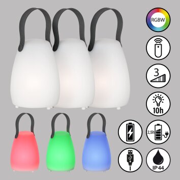 Lampe à poser FHL easy Ruby LED Blanc, 1 lumière, Télécommandes, Changeur de couleurs