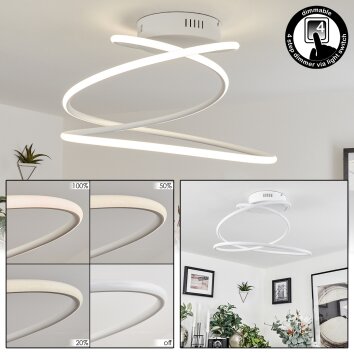 Plafonnier Donebas LED Blanc, 1 lumière