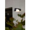 Applique murale d'extérieur Lutec Moon LED Anthracite, 1 lumière