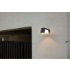 Applique murale d'extérieur Lutec Moon LED Anthracite, 1 lumière