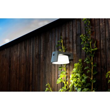 Lampe solaires Lutec Moon LED Anthracite, 1 lumière, Détecteur de mouvement