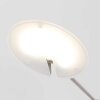 Lampadaire Steinhauer Daphne LED Acier brossé, 1 lumière