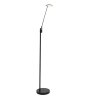 Lampadaire Steinhauer Daphne LED Noir, 1 lumière