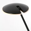 Lampadaire Steinhauer Daphne LED Noir, 1 lumière