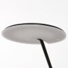 Lampadaire Steinhauer Daphne LED Noir, 1 lumière