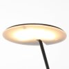 Lampadaire Steinhauer Daphne LED Noir, 1 lumière