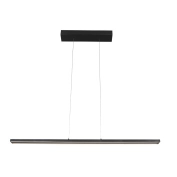 Suspension Steinhauer Bande LED Noir, 4 lumières