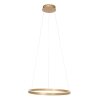 Suspension Steinhauer Ringlux LED Or, 2 lumières