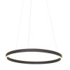 Suspension Steinhauer Ringlux LED Noir, 2 lumières