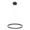 Suspension Steinhauer Ringlux LED Noir, 2 lumières