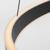 Suspension Steinhauer Ringlux LED Noir, 3 lumières