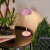 Lampe à poser Pelaro LED Rose, 1 lumière