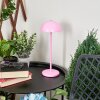 Lampe à poser Pelaro LED Rose, 1 lumière