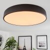 Plafonnier Maho LED Noir, 1 lumière