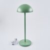 Lampe à poser Pelaro LED Vert, 1 lumière