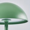 Lampe à poser Pelaro LED Vert, 1 lumière