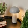 Lampe à poser Telve LED Gris, 1 lumière