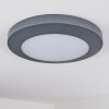 plafonnier extérieur Durivier LED Anthracite, 1 lumière