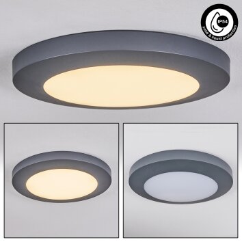 plafonnier extérieur Durivier LED Anthracite, 1 lumière