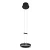 Suspension Steinhauer Piola LED Noir, 2 lumières