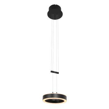 Suspension Steinhauer Piola LED Noir, 2 lumières