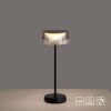 Lampe de table Leuchten-Direkt DORA LED Noir, 1 lumière