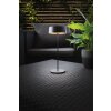 Lampe de table Lutec COCKTAIL LED Noir, 1 lumière