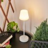 Lampe à poser Maza LED Blanc, 1 lumière