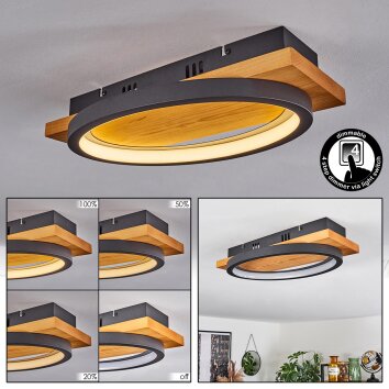 Plafonnier Pompu LED Écru, 1 lumière