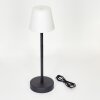 Lampe à poser Maza LED Noir, 1 lumière