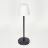 Lampe à poser Maza LED Noir, 1 lumière