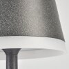 Lampe à poser Walt LED Anthracite, 1 lumière