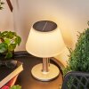 Lampe à poser Alcudia Solar LED Nickel mat, 10 lumières