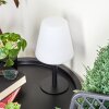 Lampe à poser Zoume Solar LED Noir, 8 lumières, Changeur de couleurs