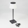 Lampe à poser Longchamps LED Noir, 1 lumière