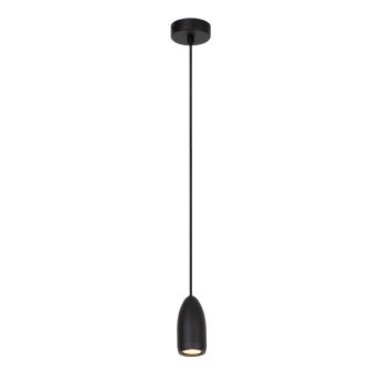 Suspension Lucide EVORA Noir, 1 lumière