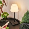 Lampe à poser Mayordomo LED Noir, 1 lumière