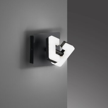 Applique murale Fischer & Honsel Ray LED Noir, 1 lumière