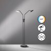 Lampadaire Fischer & Honsel Tallri LED Noir, 2 lumières