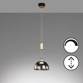 Suspension Fischer & Honsel Avignon LED Noir, 1 lumière