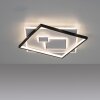 Plafonnier Paul Neuhaus MAILAK LED Noir, Blanc, 2 lumières