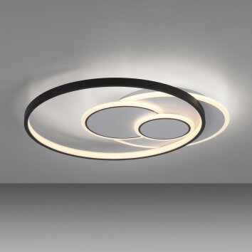 Plafonnier Paul Neuhaus MAILAK LED Noir, Blanc, 2 lumières