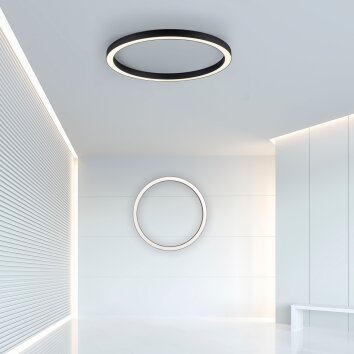 Plafonnier Paul Neuhaus PURE-LINES LED Anthracite, 1 lumière, Télécommandes