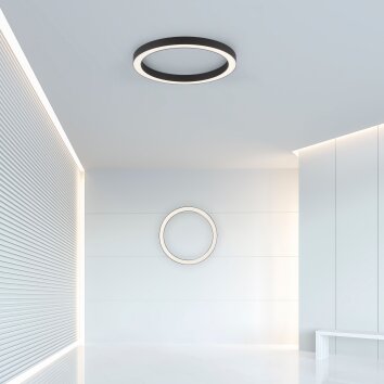 Plafonnier Paul Neuhaus PURE-LINES LED Anthracite, 1 lumière, Télécommandes