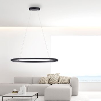 Suspension Paul Neuhaus TITUS LED Anthracite, 1 lumière